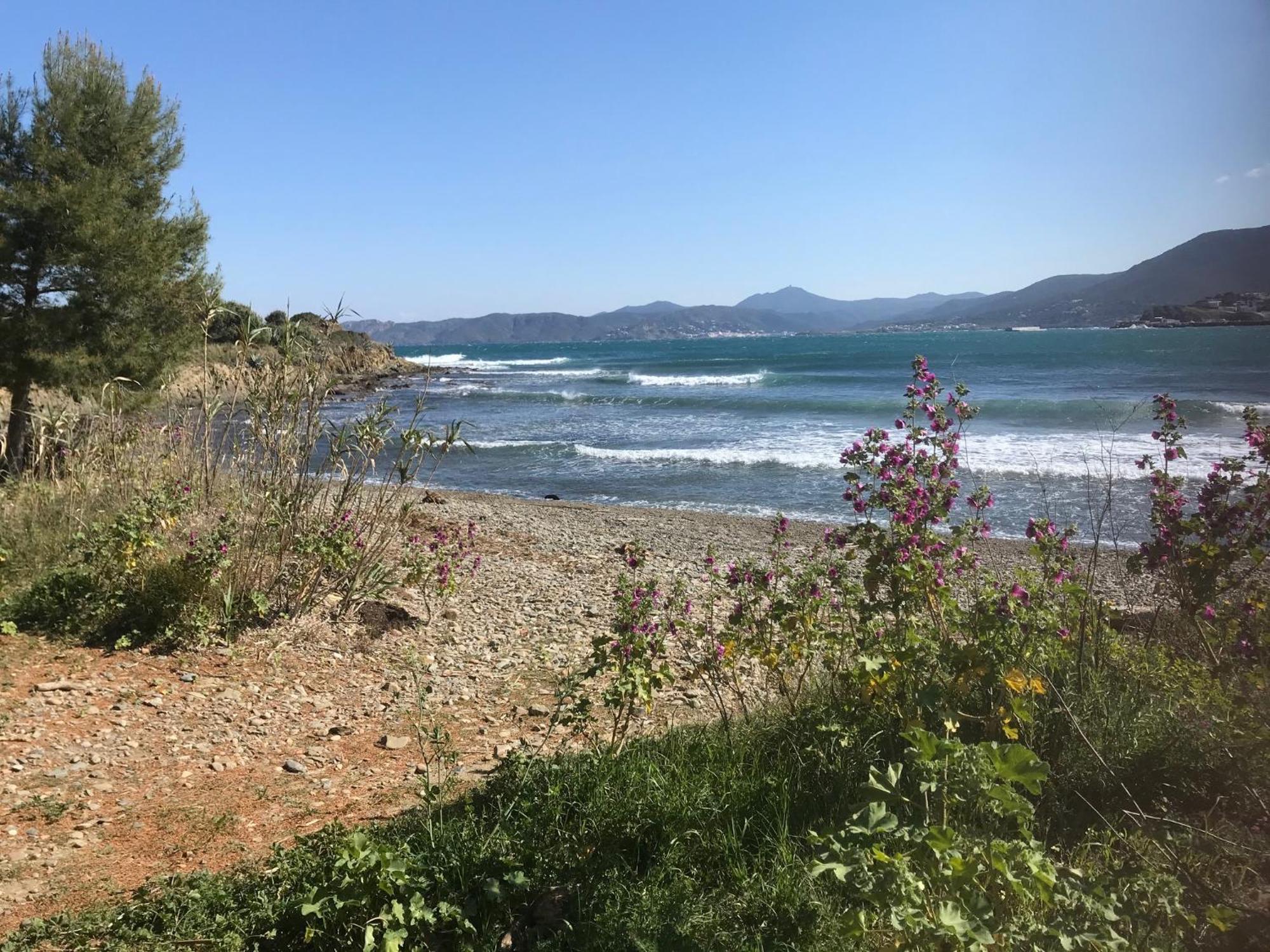 Stunning Sea Views From Luxury 4 Bed Close To At Cap Ras * Llançà